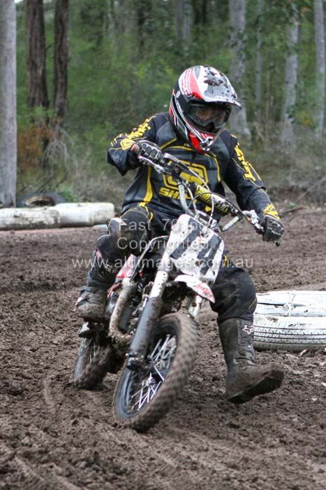 445x677 pixels (76K)